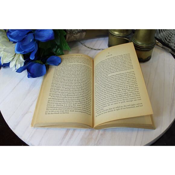 1973 Printing Penguin Classics The Odyssey by Homer - Picture 5 of 5